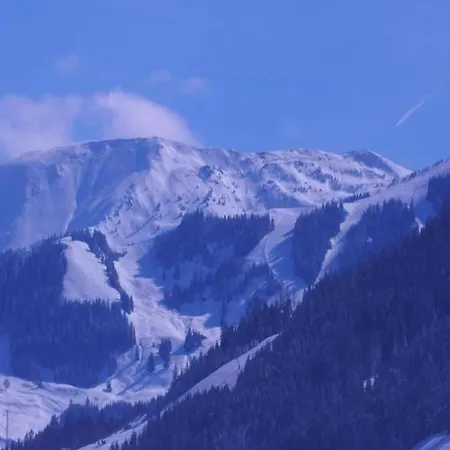 Cozy Mountain Panorama 아파트 *