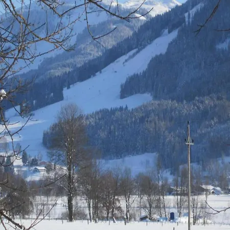 Cozy Mountain Panorama Saalfelden